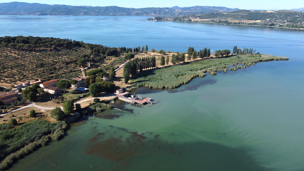 Wyspa Jezioro Trazymeńskie